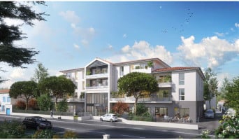 Villeneuve-sur-Lot programme immobilier neuve « Le Damier »  (2)