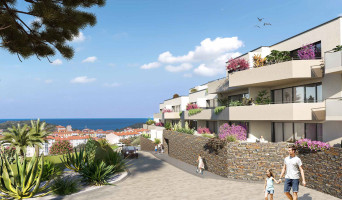 Port-Vendres programme immobilier neuve « Mer Azur »  (2)