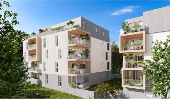 Marseille programme immobilier neuve « Florescence »  (2)