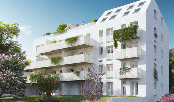 Toulouse programme immobilier neuve « Suzan Garden » en Loi Pinel  (3)