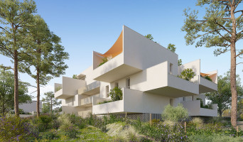 Nîmes programme immobilier neuve « Les Jardins de Pomona »  (2)