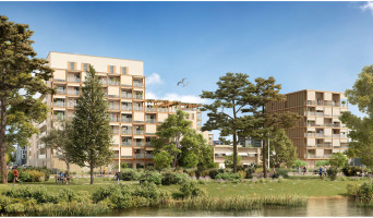 Bordeaux programme immobilier neuve « 30e Avenue » en Loi Pinel  (4)