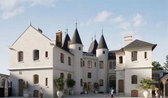 Loches programme immobilier à rénover « Castel de Vigny » en Monument Historique