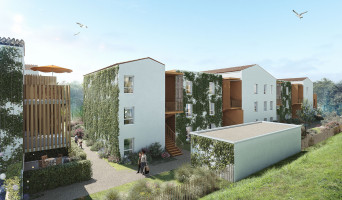 Marguerittes programme immobilier neuve « Le Clos des Oliviers »  (2)