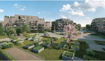 Amiens programme immobilier neuve « L'îlot Jardins »  (3)
