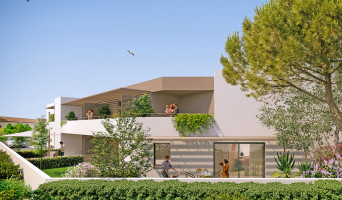 Castelnau-le-Lez programme immobilier neuf « Villa Vinèa