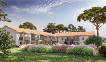 Lit-et-Mixe programme immobilier neuve « Stellaria »  (2)