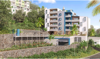 Saint-Denis programme immobilier neuve « Cap Bellepierre » en Loi Pinel  (2)