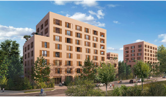 Toulouse programme immobilier neuve « Révélation » en Loi Pinel  (2)