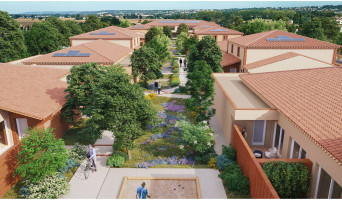 Castelginest programme immobilier neuve « Silver Age » en Loi Pinel