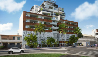 Saint-Denis programme immobilier neuve « François 1er » en Loi Pinel  (2)