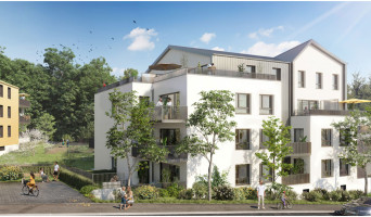 Nancy programme immobilier neuve « Domaine de Buthegnemont » en Loi Pinel  (3)