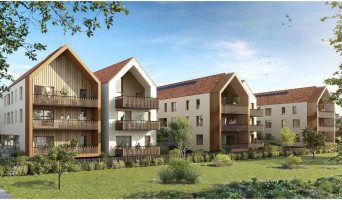 La Wantzenau programme immobilier neuve « Terramenta » en Loi Pinel  (2)