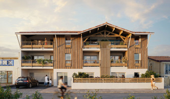 Mimizan programme immobilier neuve « Bellevue Océan » | Logisneuf