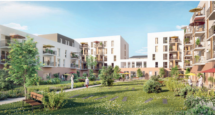 Troyes programme immobilier neuf « Les Rosaces » 