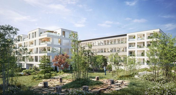 Tourcoing programme immobilier neuf « 41 Marne » en Loi Pinel 
