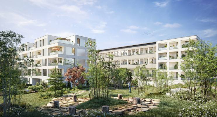 Tourcoing programme immobilier neuf &laquo; 41 Marne &raquo; en Loi Pinel 