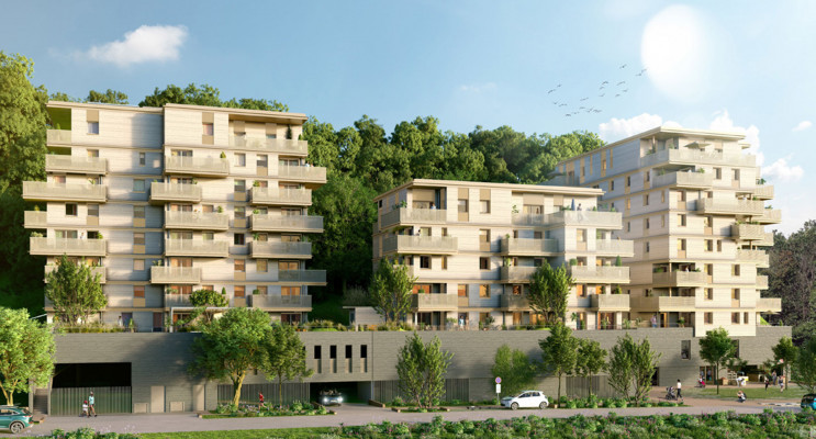 La Motte-Servolex programme immobilier neuf &laquo; Terres de Laya &raquo; en Loi Pinel 