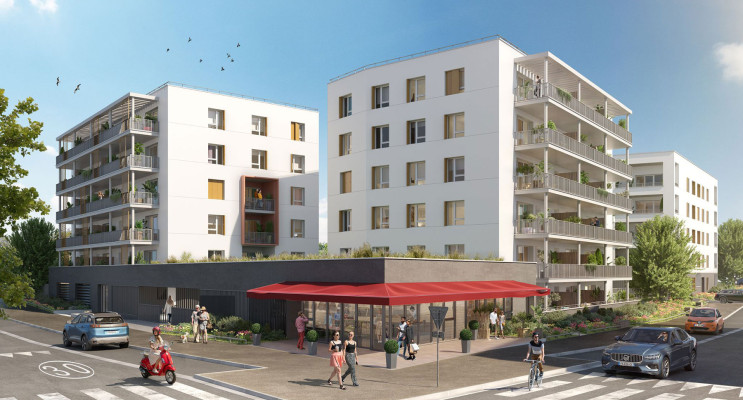 Angers programme immobilier neuf « Les Cèdres