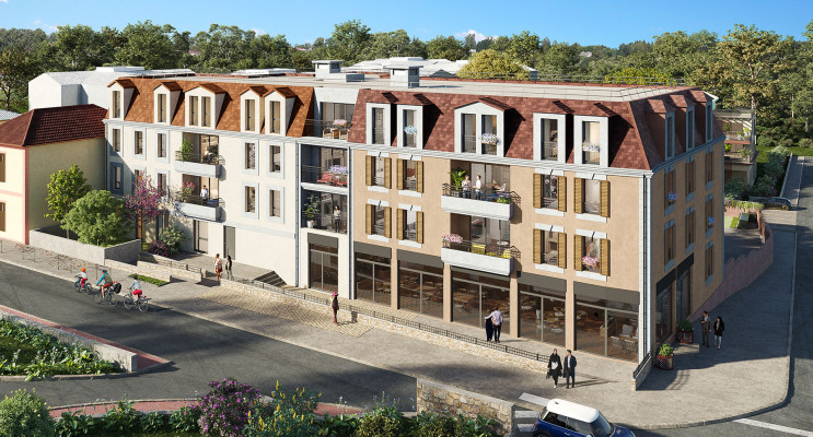 Saintry-sur-Seine programme immobilier neuf &laquo; Villa des Deux C&egrave;dres &raquo; en Loi Pinel 